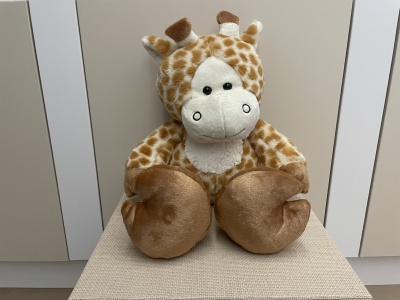 Kopie van Giraffe